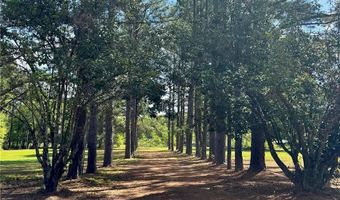 7222 NW 205TH Ter, Alachua, FL 32615