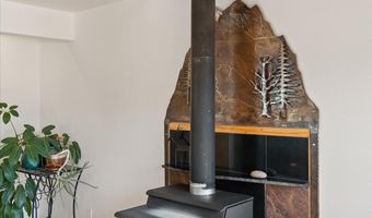 238 Hawk Ln, Basalt, CO 81621