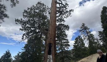 636 Mountain Center 35-0002, Mountain Center, CA 92561