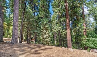 1598 Wawona Way, Arnold, CA 95223