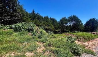 8 Dynamite Rd, Agra, OK 74824