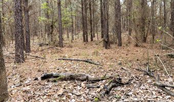 Tbd Pump Station Rd, Ashdown, AR 71822