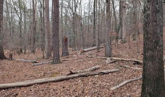 Lots B & C Miller Road, Camden, SC 29020