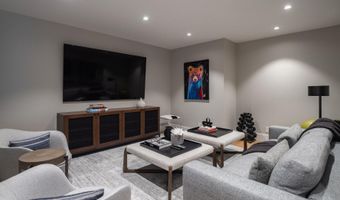 314 N Riverside Ave 2, Aspen, CO 81611