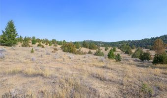 NHN Trails End Drive, Anaconda, MT 59711