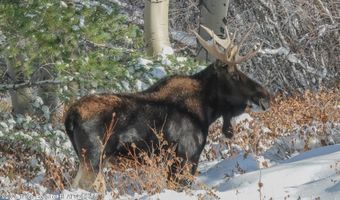 300 W TETON HIDEAWAY Dr, Alta, WY 83414