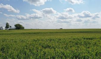 Marsh Avenue, Allison, IA 50602