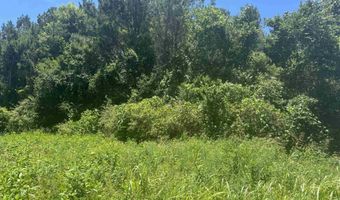 HIGHWAY 431 lot 0, Alexandria, AL 36250