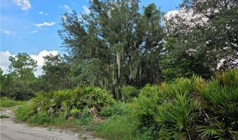 2379 W Perry Rd, Avon Park, FL 33825