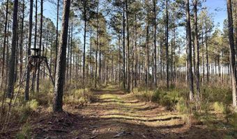 Highway 28, Abbeville, SC 29620