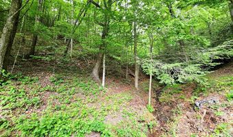 45 Sulpher Ln, Andrews, NC 28901
