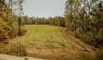000 County Road 336, Chiefland, FL 32626