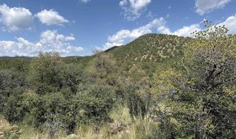 XY Black Dog Road, Silver City, NM 88061