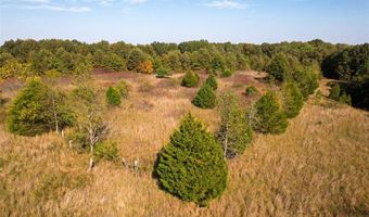 2300 CR 149, Alton, MO 65606