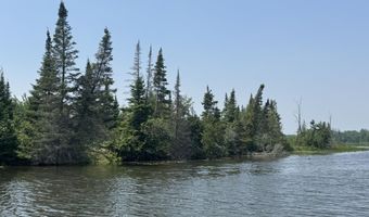 6378 Macey Ln, Alpena, MI 49707