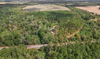 1289 Bruner Pond Rd, Ashford, AL 36312