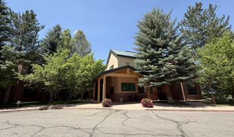 100 Elk Run Dr 220, Basalt, CO 81621