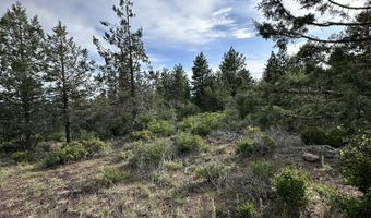 Porpoise Lane Lot 29, Bonanza, OR 97623