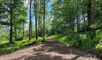 0 Woodland Hills Rd, Andes, NY 13731