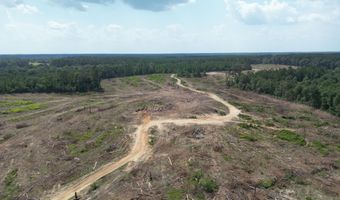 SE Cole Drive, Bogue Chitto, MS 39629