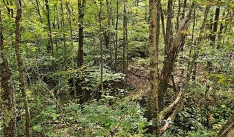 Lot 29 Lee Gualtney Road, Banner Elk, NC 28604