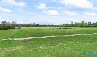 435 Sneadview Rd, Altoona, AL 35952