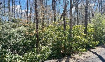 C475 Treetop Lane, Albrightsville, PA 18210