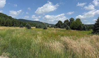 3723 W Five Mile Rd, Allegany, NY 14706