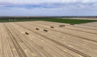 6089 Road 38, Alpaugh, CA 93201