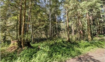 62955 E MOUNTAIN COUNTRY Ln, Brightwood, OR 97011