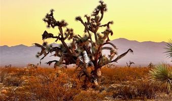 606 D S Billy The Kid Rd, Yucca, AZ 86438