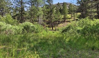 Spiritwood Ln, Bellvue, CO 80512