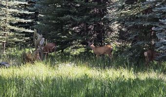 201 Golden Forest Rd, Bayfield, CO 81122