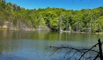 Rock Hill Community Rd, Bassett, VA 24055