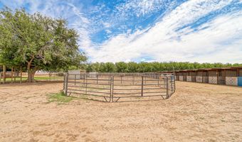 1624 VINTON Rd, Anthony, NM 88021