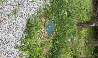 Wolf River Estates Rd, Albany, KY 42602