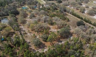 3670 NW 20TH Ave, Bell, FL 32619