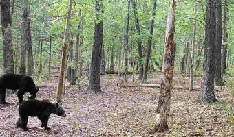 1307 Route Af, Ava, MO 65608