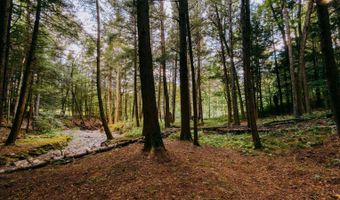 0 Weidick Rd, Andes, NY 13731