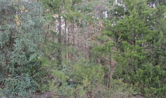 Tbd Wood County Road 2958, Alba, TX 75410