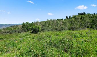 Trentaz Drive, Aspen, CO 81611