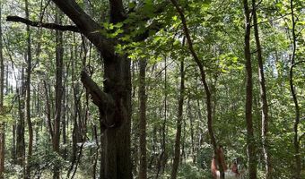 Pleasant Hill Road, Ashland, MS 38603
