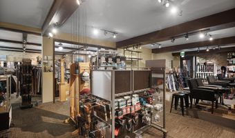 408 E Cooper Ave, Aspen, CO 81611