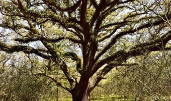 FM 521 TX, Angleton, TX 77515