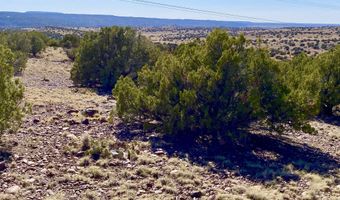Tbd Co Rd 5062 Lot 1 3.53 Acres, Concho, AZ 85924