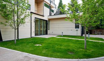 1520 Homestake Dr, Aspen, CO 81611