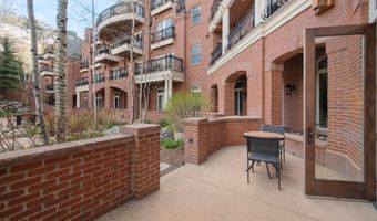 415 E Dean St Unit 4 Weeks 5 & 6, Aspen, CO 81611