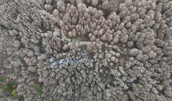 Cr 127, Abbeville, MS 38601