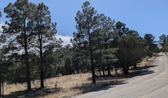 PN TBD BACHE ST & MESITA DR, Alto, NM 88312