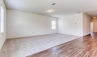 825 Cherry Blossom St, Anna, TX 75409